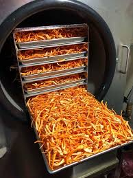 Máy sấy thăng hoa đông trùng hạ thảo LFD-6